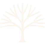 Prêt pour votre immersion culturelle ?