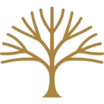 Prêt pour votre immersion culturelle ?